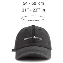 Load image into Gallery viewer, Absolutely not